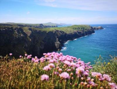 Middle Cottage Sandy Haven Beach Milford Haven Εξωτερικό φωτογραφία